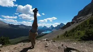 It Ain't Brain Surgery. Finding balance hiking in Banff Canada
