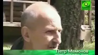 Пётр Мамонов. Мне до вас дела нет.