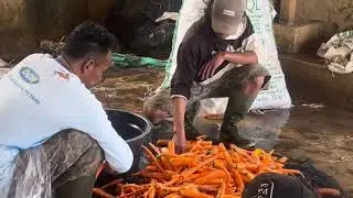 KKN desa resmi tingal 2024