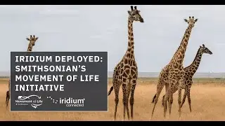 Iridium Deployed: Smithsonian Movement of Life