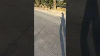🤣 Как смерть с косой