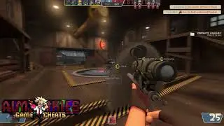 Team Fortress 2 Cheat By AimJunkies