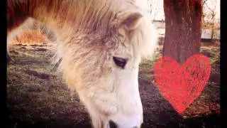I will never forget you... (Beschreibung)