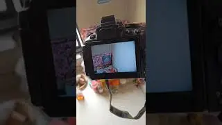 HOW TO USE SELF TIMER IN NIKON DSLR.