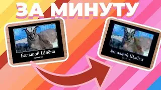 КАК СДЕЛАТЬ ПЛОХОЕ КАЧЕСТВО У ВИДЕО ЗА 1 МИНУТУ, актуально в 2021