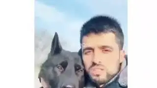 BLACK WOLF ! 🇹🇷 SİYAH KURT !