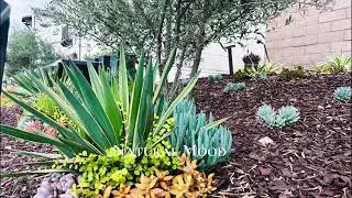 Irvine landscape design and construction