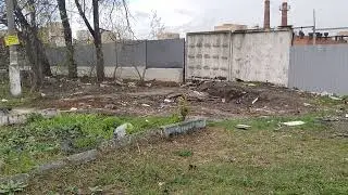Минус голубятня. Голуби на проводах