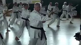 Sensei Denis Casey (8th Dan) teaching Seipai Kata & Bunkai (Part 2) - Shito-ryu Shukokai Union