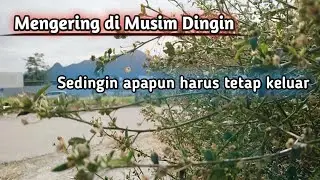 ¦¦MUSIM DINGIN 5° DI KHAMSHEUNG ¦¦