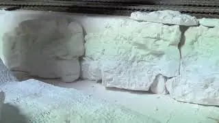 Rock Molds On The River Wall 