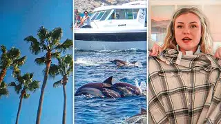 Whale Watching | Mini Clothing Haul | Vlog