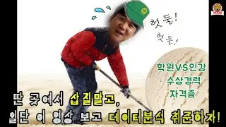 데이터분석가 취업 멘토링 | 질문 Q&A | 취업 준비