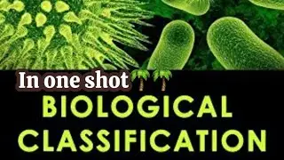 Biological Classification || NCERT In one shot || Class 11th ||