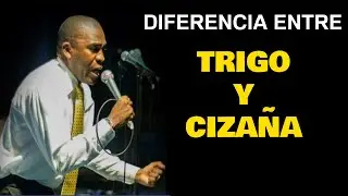 Diferencia entre el trigo y la cizaña (Juan Carlos Soto)