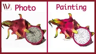 Watercolor Tutorial- How to Paint Dragon Fruits in Watercolor- Windy Shih