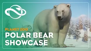 Planet Zoo | Polar Bear Showcase