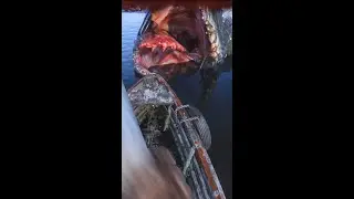 Wild fishing METRO Exodus..! #Shorts