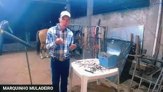 Qual a melhor embocadura pro cavalo Esta embocadura o cavalo vai obedecer mais faácil .