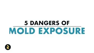5 Dangers of Mold Exposure You Shouldn't Ignore