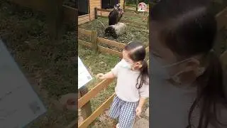 육아 다음 만날 짹짹이 친구는?