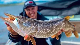 ЩУКИ И СУДАКИ РВУТ ПРИМАНКИ! + Эксклюзивная Подводная Съемка