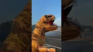 Эпичное возвращение Дино на Бор.