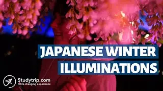 Magic Winter Illuminations in Tokyo