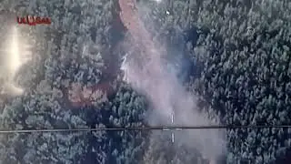 İzmir'in Kemalpaşa ilçesinde orman yangını çıktı