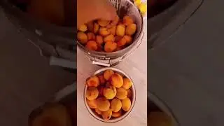 Урожай
