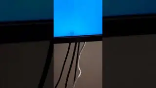 Fly or Spider crawling around and dying inside my 4K TV screen! #spiders #insects #bugs #4k #tv #led