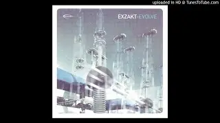 exzakt - outside looking in