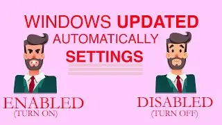 Disabled Automatic Windows Update Settings  ll  DS Everything