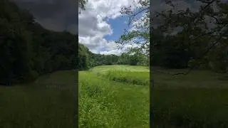 Escape to nature. #natureshorts #outdoors #naturelovers #relaxingvideo  #asmrsounds #explore