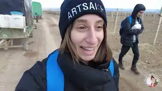 Exploring Armenia's Vineyards: Pruning For Success?