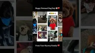 🐶❤️ Happy National Dog Day - August 26