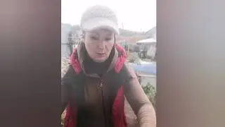 Ежевика для начинающих