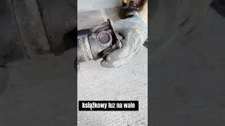 DUŻY CZY MAŁY LUZ NA KRZYŻAKU
