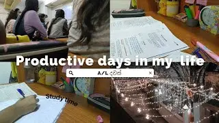 ඵලදායීව ගතවුන දවස් 2ක්🤓❤️ productive days in my life