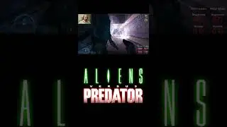 С пистолетом на ксеноморфов | Aliens versus Predator