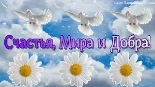 Красивое поздравление с Днем семьи любви и верности. С днем семьи.