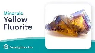Purple Yellow Fluorite | Minerals Taken With GemLightbox Pro