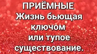 Дневник приёмной мамы/Обзор.