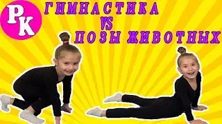 Гимнастика VS позы животных. Часть 2.