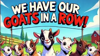 We have our GOATS in a row, how we organize our barn | Craft show how did it go 😐 | Goat barn normal