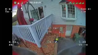 Ripping around with a whoop!