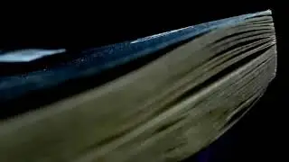 Kaybolduğum #1 Az Göz Kör