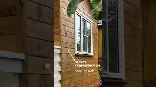 Цвет «Золотой дуб», состава ЗЕЛЕСТ ГИДРОДЕКОР Д-1 