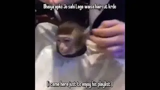 Bhaiya aapko jo sahi lage waise haircut kardo #shorts #memes #haircut