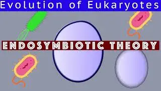L56 Endosymbiotic theory | Evolution of Eukaryotes : Story of Earth NCERT for UPSC SSC